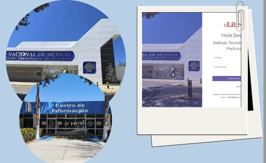 Vista de acceso y plataforma digital